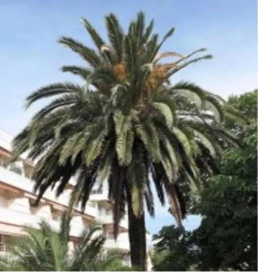 Eden Appartement Saint-Tropez Kamer foto